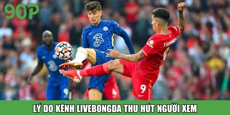 Lý do kênh livebongda thu hút người xem