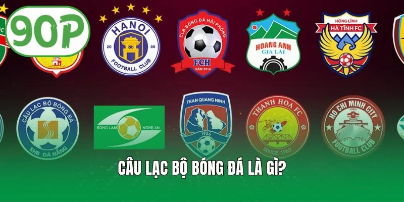 Câu Lạc Bộ Bóng Đá Là Gì? Cấu Trúc Và Cách Hoạt Động