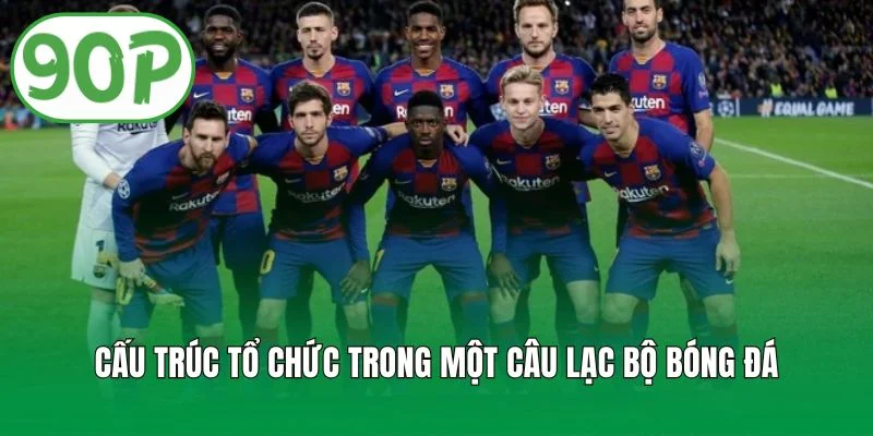 Cấu trúc tổ chức trong một câu lạc bộ bóng đá