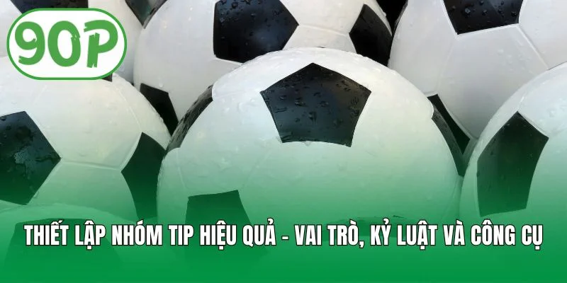 Thiết lập nhóm tip hiệu quả - vai trò, kỷ luật và công cụ