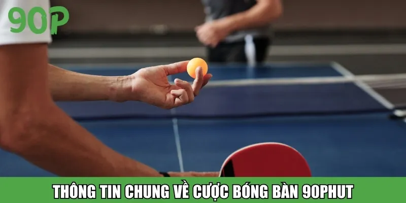 Thông tin chung về cược bóng bàn 90Phut