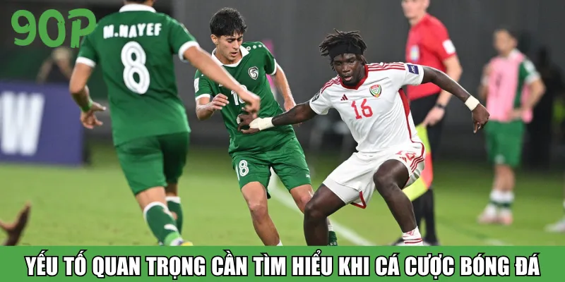 Một số yếu tố quan trọng cần tìm hiểu khi cá cược bóng đá